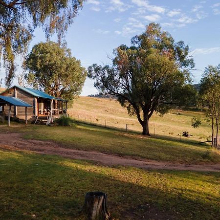 Gaddleen Grove Cottages Водонга Екстер'єр фото