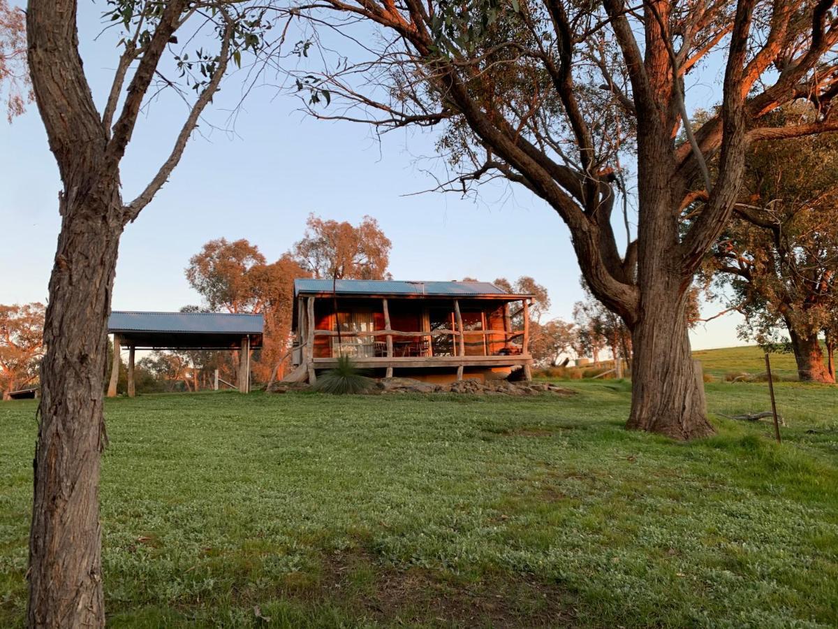 Gaddleen Grove Cottages Водонга Екстер'єр фото