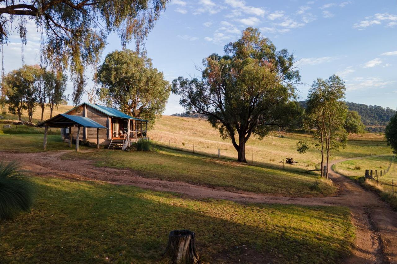 Gaddleen Grove Cottages Водонга Екстер'єр фото