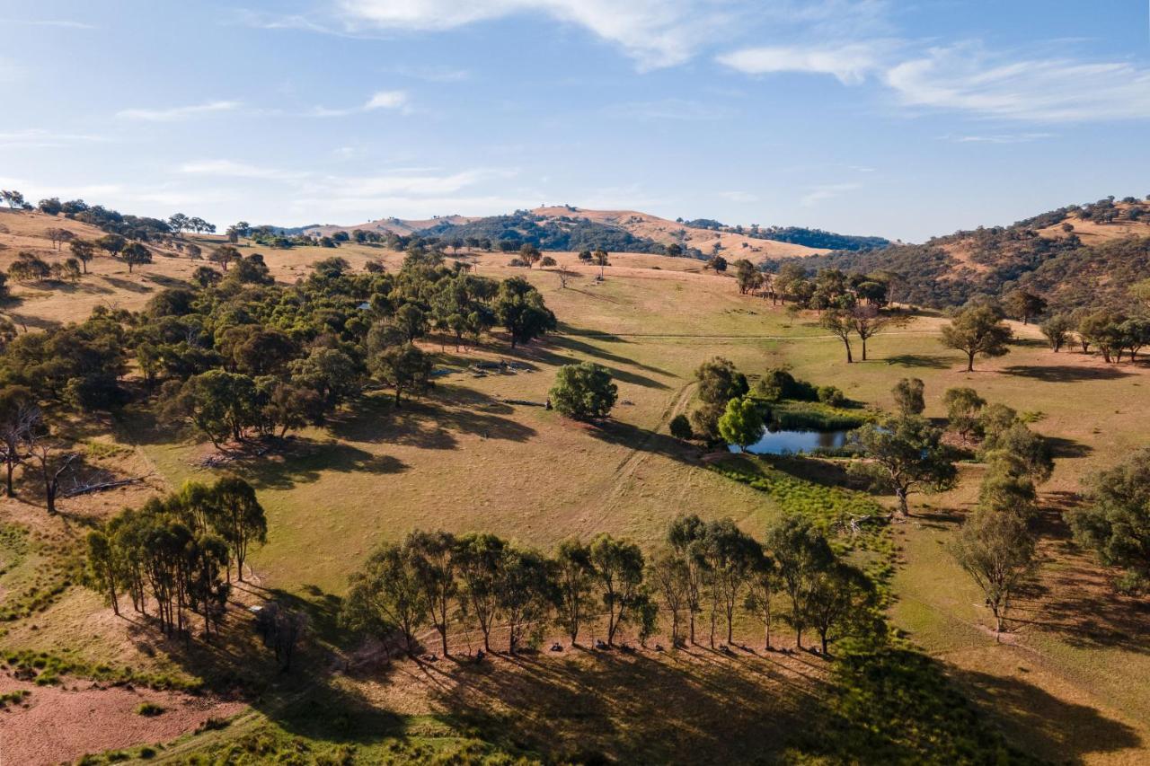 Gaddleen Grove Cottages Водонга Екстер'єр фото