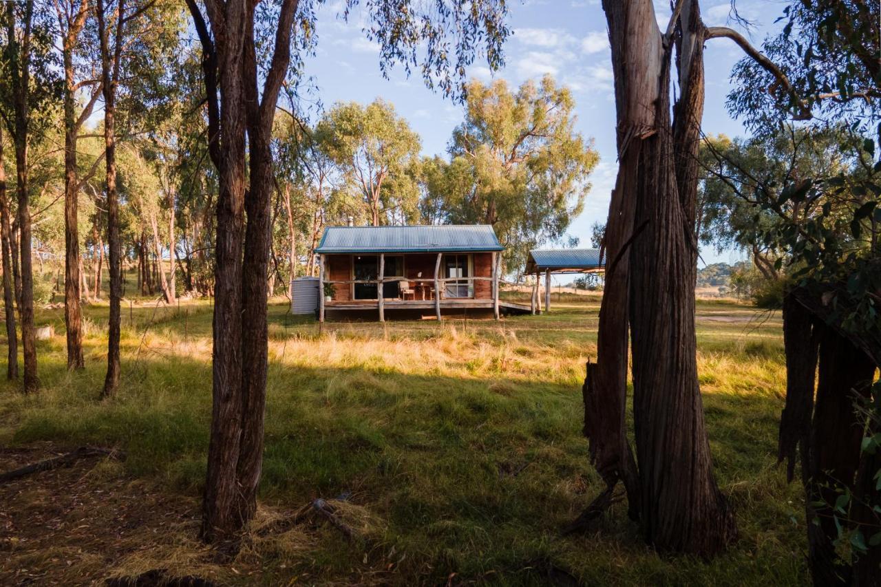 Gaddleen Grove Cottages Водонга Екстер'єр фото